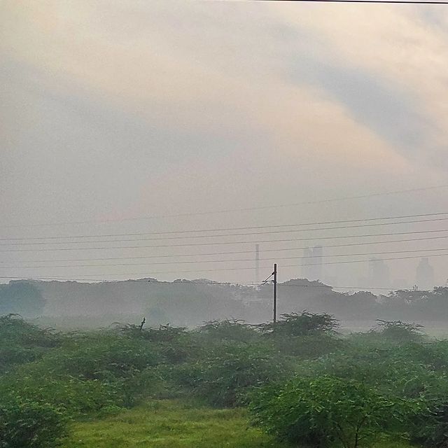 We started hearing the deafening cawing of millions of birds